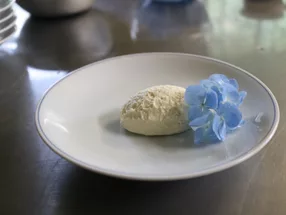 산코인 6