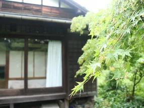 산코인 5